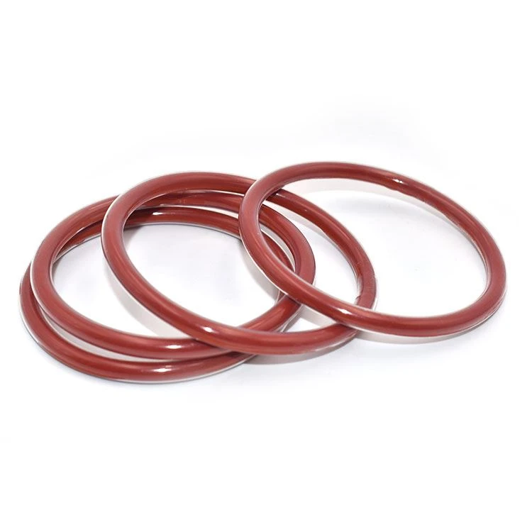 Encapsulated o ring (1).JPG